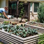 The kitchen gardens provide vegetables and herbs for use in meals prepared by the Agrace  kitchen.