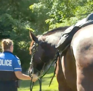 Mounted Patrol lifts spirits with visit to Agrace patients