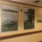 Hospice Memory Care Suites indoor walking path with large nature murals