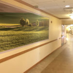 Hospice Memory Care Suites entryway with indoor walking path with large nature murals