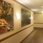 Hospice Memory Care Suites indoor walking path with large nature murals