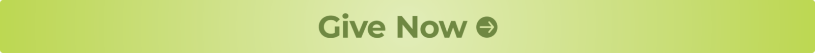 give now button