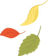 fall leaves 