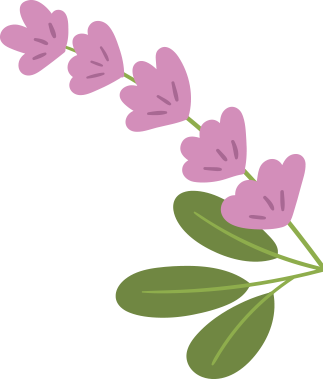 purple flowers and green foliage