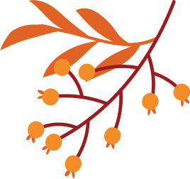 orange leaves and berries