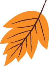 fall leaf