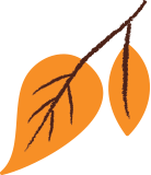 fall leaves