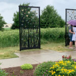 You can visit Agrace in Janesville or Madison to see your butterflies nearly any time of year.  