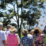 Those who purchase tribute butterflies are invited to an annual dedication event like this one. 