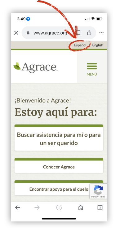 screenshot of the agrace website pointing out the spanish language button in the top right corner