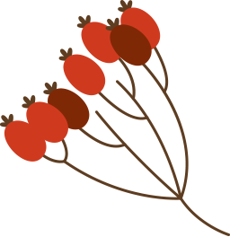illustration branch with red berries