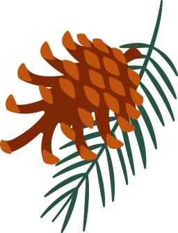 illustration of pine cone and pine needles