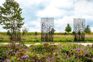 Janesville gardens